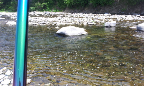 鮎釣り・那珂川1