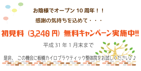 板橋カイロプラクティック整体院　初見料無料キャンペーン