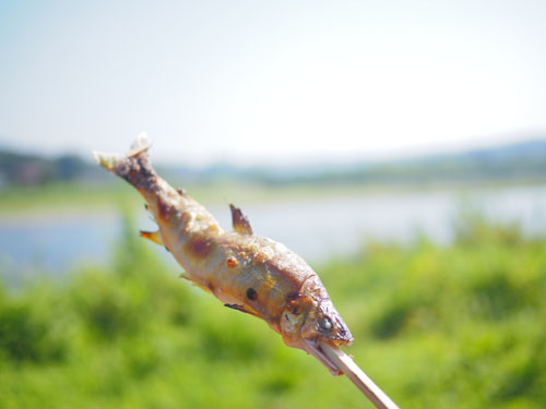 鮎の塩焼き