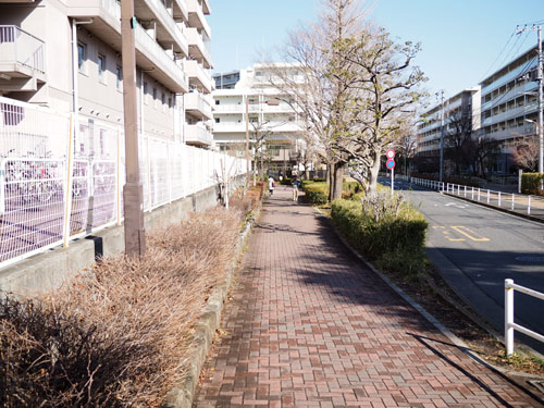 小竹向原～板橋カイロプラクティック整体院までの道順12