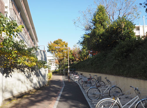 小竹向原～板橋カイロプラクティック整体院までの道順8